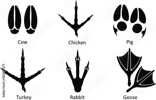Collection of animal footprints showing distinct patterns for cow, chicken, pig, turkey, rabbit, and goose