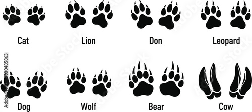 A comparative vector illustration set of various animal footprints, showing different paw prints and hoof marks as black silhouettes for design elements 04