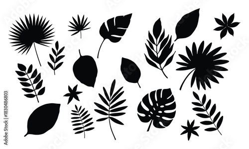 Elegant botanical flower illustration featuring delicate petals and detailed stems in vibrant cmyk colors perfect for design projects