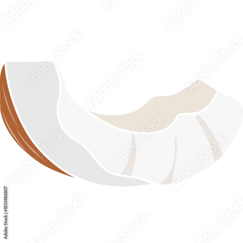 White coconut meat slice element, isolated on transparent background for tropical food graphics and ingredient illustrations.