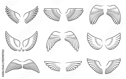 Elegant vector illustration of two stylized birds in mid flight with outstretched wings perfect for avian themes and nature designs