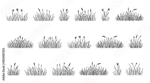 Charming hand drawn illustration of lush green grass blades swaying gently in a natural outdoor environment perfect for spring or summer themes