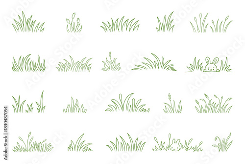 Charming hand drawn illustration of lush green grass blades perfect for nature themed designs and organic branding projects