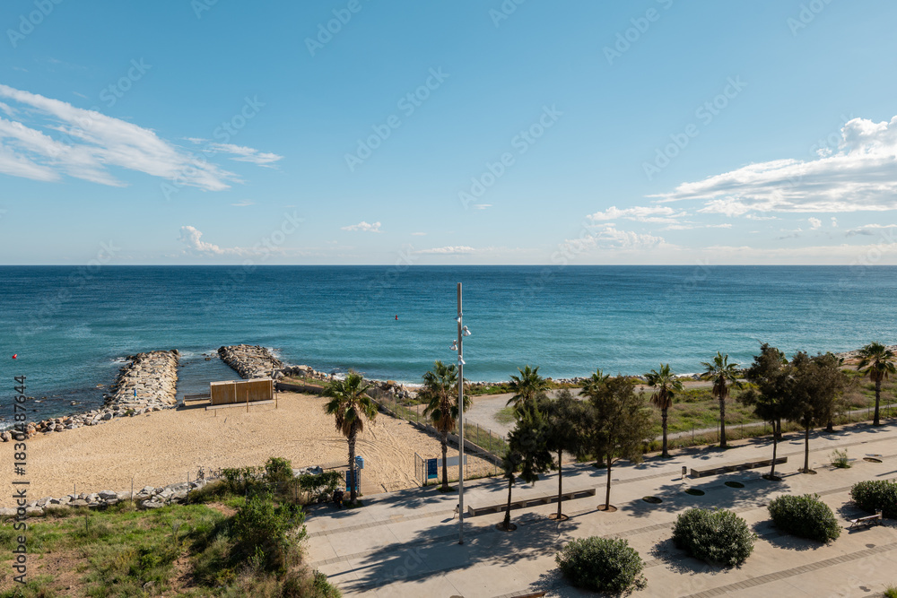 Fototapeta premium A scenic view of the beach in Barcelona, featuring a sandy shore, palm trees, and a calm blue sea under a clear sky.