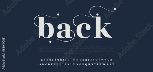  Back Elegant alphabet letters font