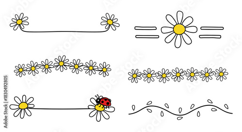 Daisy-themed decorative dividers, floral design elements, cute and playful accents, copy space