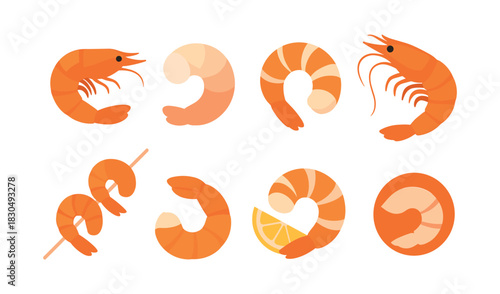 Seafood elements, shrimp prawn icons, flat vector illustration