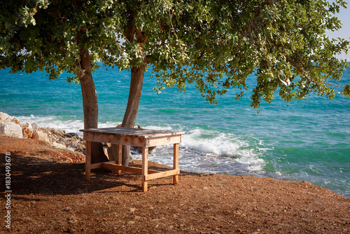 A view of the sea from beneath a tree in a Mediterranean town. A turquoise Mediterranean landscape with trees, cliffs, and foaming waves.
