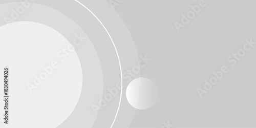 Abstract white and gray color background. Eps10 vector