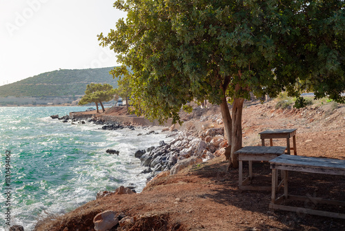 A view of the sea from beneath a tree in a Mediterranean town. A turquoise Mediterranean landscape with trees, cliffs, and foaming waves.
