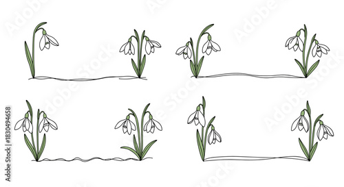 Snowdrop flowers sketches in simple line art style, text divider
