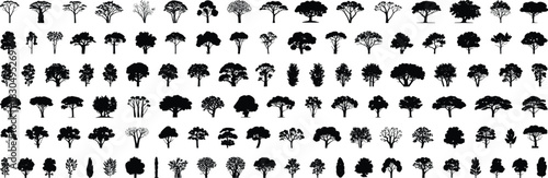 Extensive Tree Silhouette Vector Set of Diverse Species for Landscape Design, Architecture Plans, and Nature Graphics