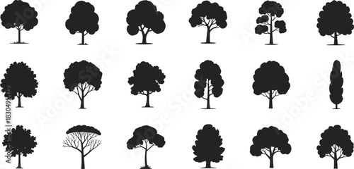 Varied Tree Silhouette Vector Set of Deciduous and Conifer Species for Landscape Architecture Plans and Nature Graphics