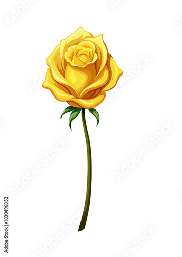 yellow rose isolated on white