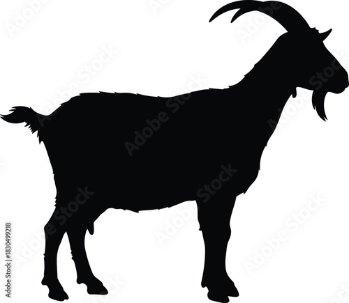 Goat silhouette illustration, farm animal profile artwork, livestock design, rural agriculture concept, horned mammal farming symbol