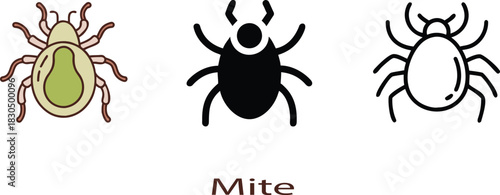 vector illustration of a cactus