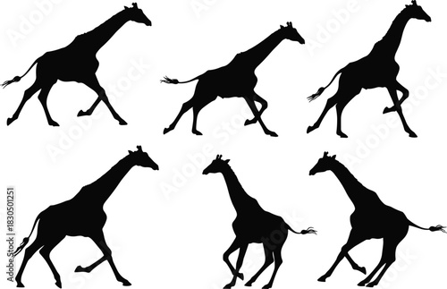 Giraffe silhouette, walking motion, running posture, animal movement, wildlife illustration, graceful gait, black figure, white background, nature concept, minimal design