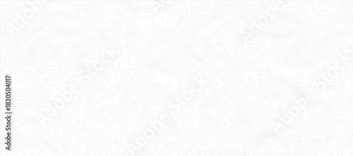 Topographic Map with Fine, Light Gray Lines on a Bright White Background Soft Contour Pattern Background.