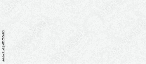 Topographic Map with Fine, Light Gray Lines on a Bright White Background Soft Contour Pattern Background.