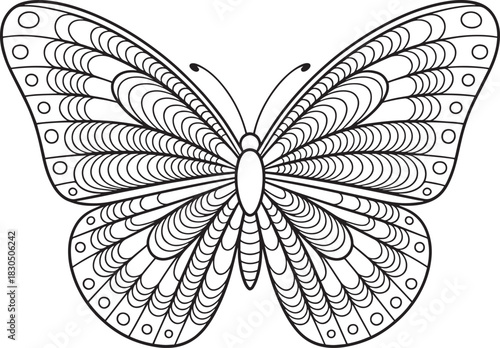 Doodle insect wings with circles, black outlined zen art for relaxation coloring book