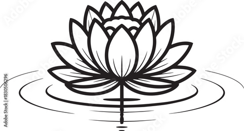 Elegant lotus flower line art on water with reflection and ripple on transparent