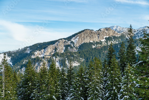 A beautiful rock wall emerging from the forest in the mountains.