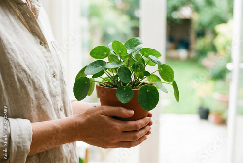 Woman tenderly holding a vibrant Pilea peperomioides plant in a terracotta pot indoors by a bright window