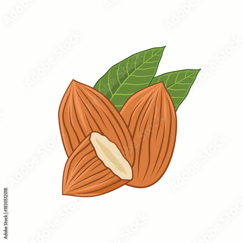 Almonds with leaves. Vector illustration