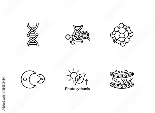 Genetics Gene Editing Protein Enzyme Photosynthesis Cell Membrane