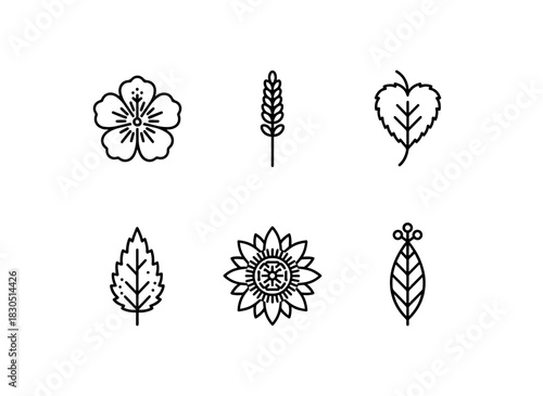 Hibiscus Lavender Lemon Balm Nettle Passionflower Sage — Minimal bold line icon set