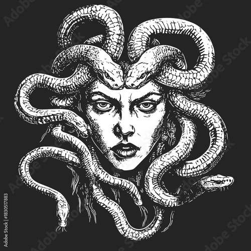 Medusa head with venomous snakes hair detailed black and white engraving sketch vector illustration mythological Gorgon monster