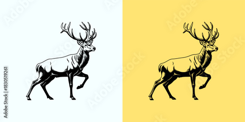 Majestic Deer Illustration A Study in Contrasting Styles