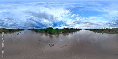 360 aerial photo taken with drone of seven hippos cooling off in Crocodile River between Kruger Park and Marloth Park in the late afternoon on a cloudy day in South Africa