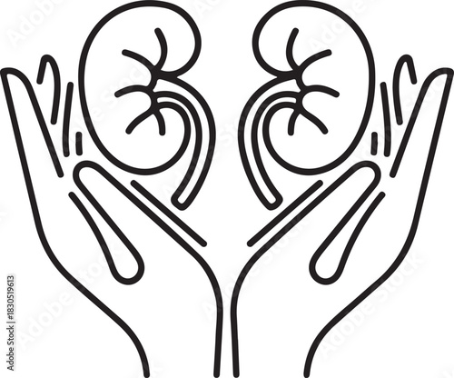 Hands holding kidneys line art illustration for healthcare and medical concepts