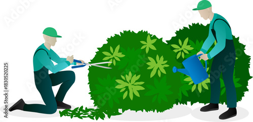 Urban planting and landscaping concept. Workers pruning and trimming bushes, watering and caring of plants.