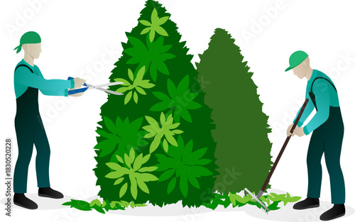 Urban planting and landscaping concept. Workers pruning and trimming trees and caring of plants, remove fallen leaves