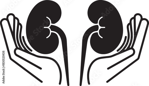 Kidney health and protection concept hands holding and supporting two kidneys