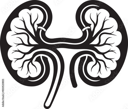 Stylized black and white illustration of human kidneys with veins and arteries