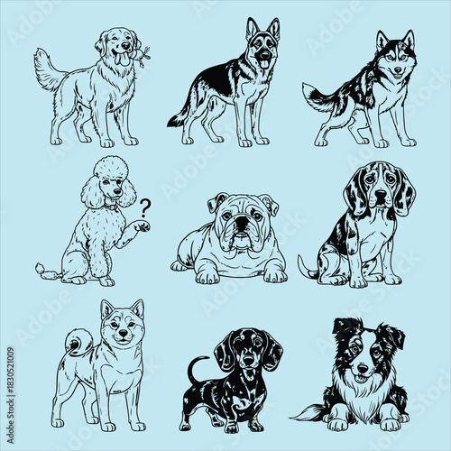 Diverse dog breeds vector collection on light blue