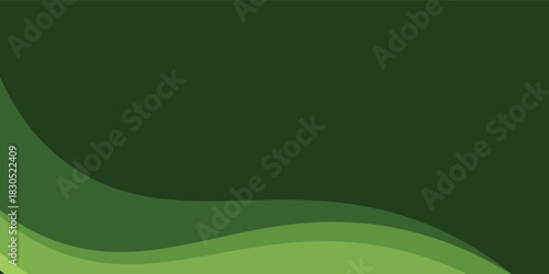 modern premium colorful wavy abstract background with gradient green soft color on background. vector background