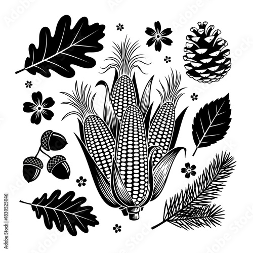 A collection of autumn leaves, pinecones, acorns, and corn cobs, illustrated in a black and white botanical style