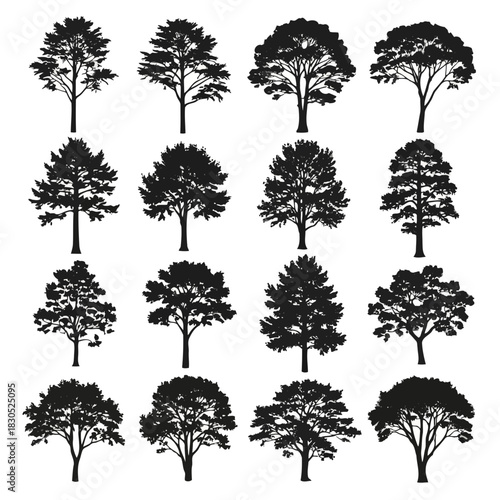 Collection of various tree silhouettes in black and white, showcasing different types and shapes of trees