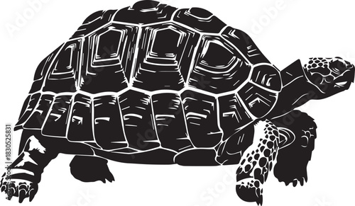 Bold Black and White Vector Illustration of a Majestic Tortoise