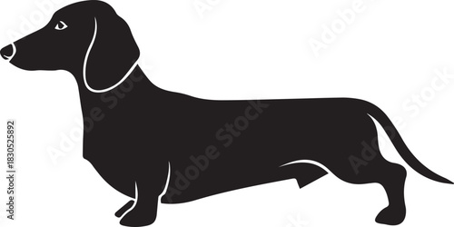 Dachshund dog vector illustration in simple minimalist black and white style