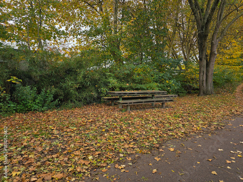 bench in autumn park