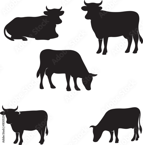 Black Silhouette of a Cow or Cattle Standing, Isolated Vector Illustration