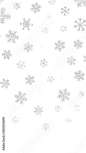 Decorative snowflakes falling on a white background for Christmas  