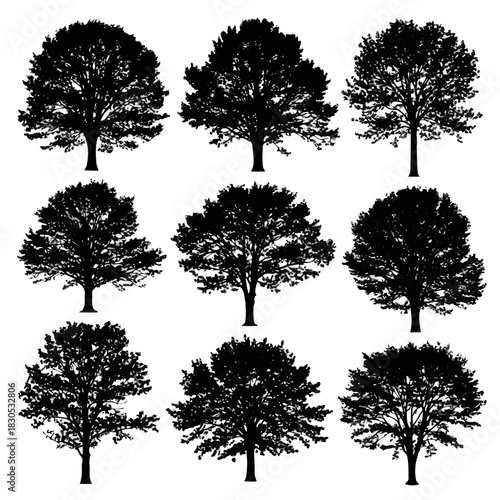 Nine black tree silhouettes isolated on, vector illustration of nature, minimalist design
