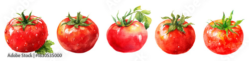Fresh red tomatoes in watercolor style with green leaves and slices. Vibrant food illustration set ideal for kitchen prints, grocery branding, and summer menus.