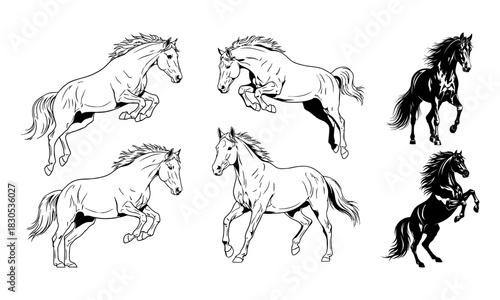 Collection of six detailed horse illustrations in a dynamic silhouette style showcasing various poses and movements